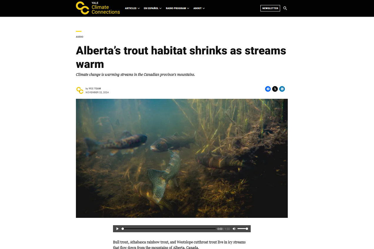 Yale Climate Connections Article: Alberta’s trout habitat shrinks as streams warm