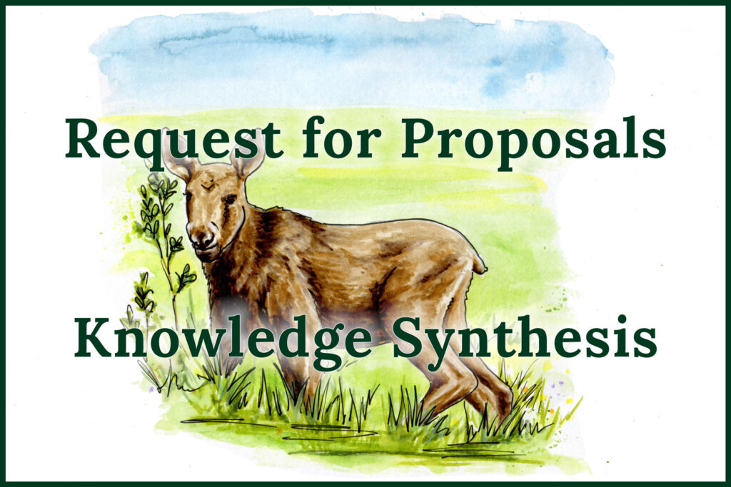 request for proposals knowledge synthesis