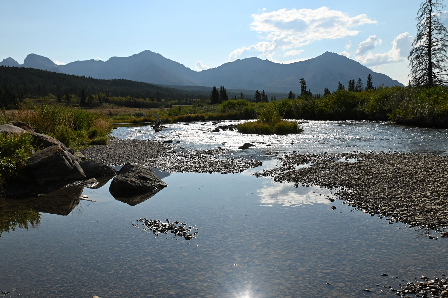 The crowsnest river