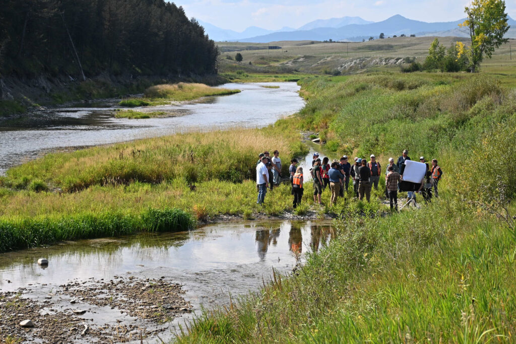 Lower Crowsnest River