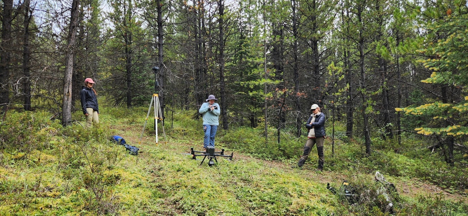 Several team members in a mossy forest, preparing to fly a drone.