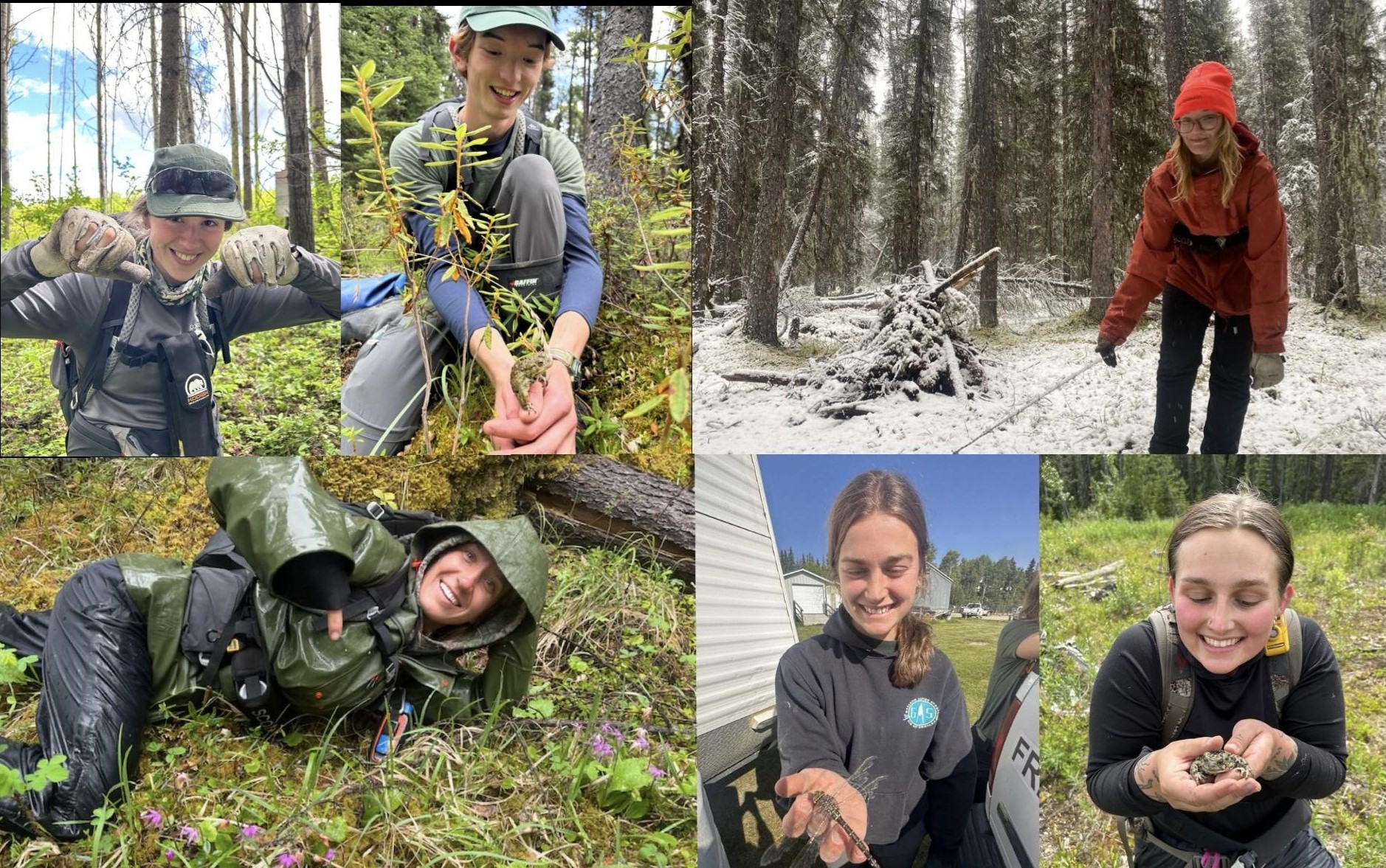 Collage of photos of the 2025 GBMP field crew