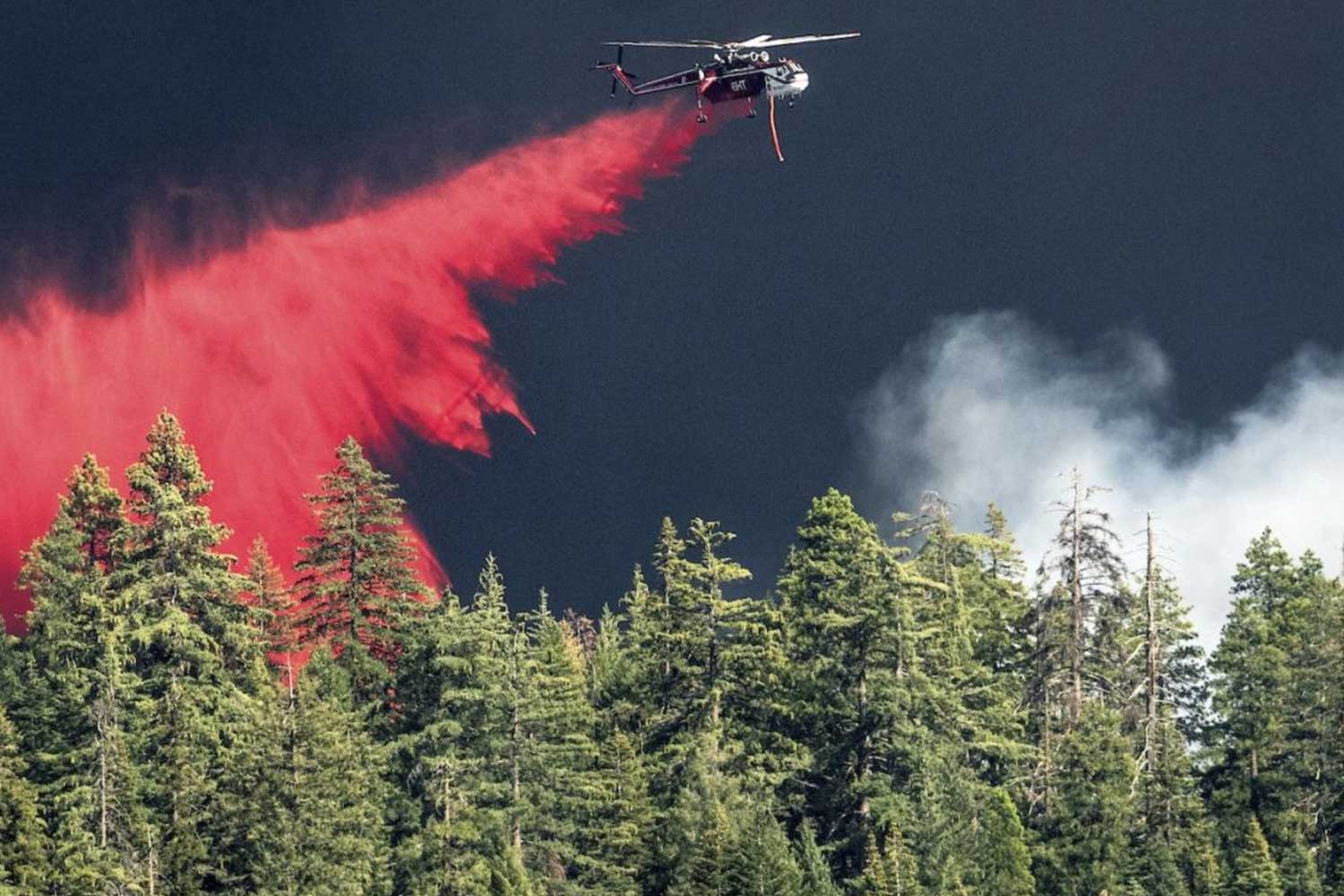 Wildfire retardants help stop fires — but also impact ecosystems | The Narwhal