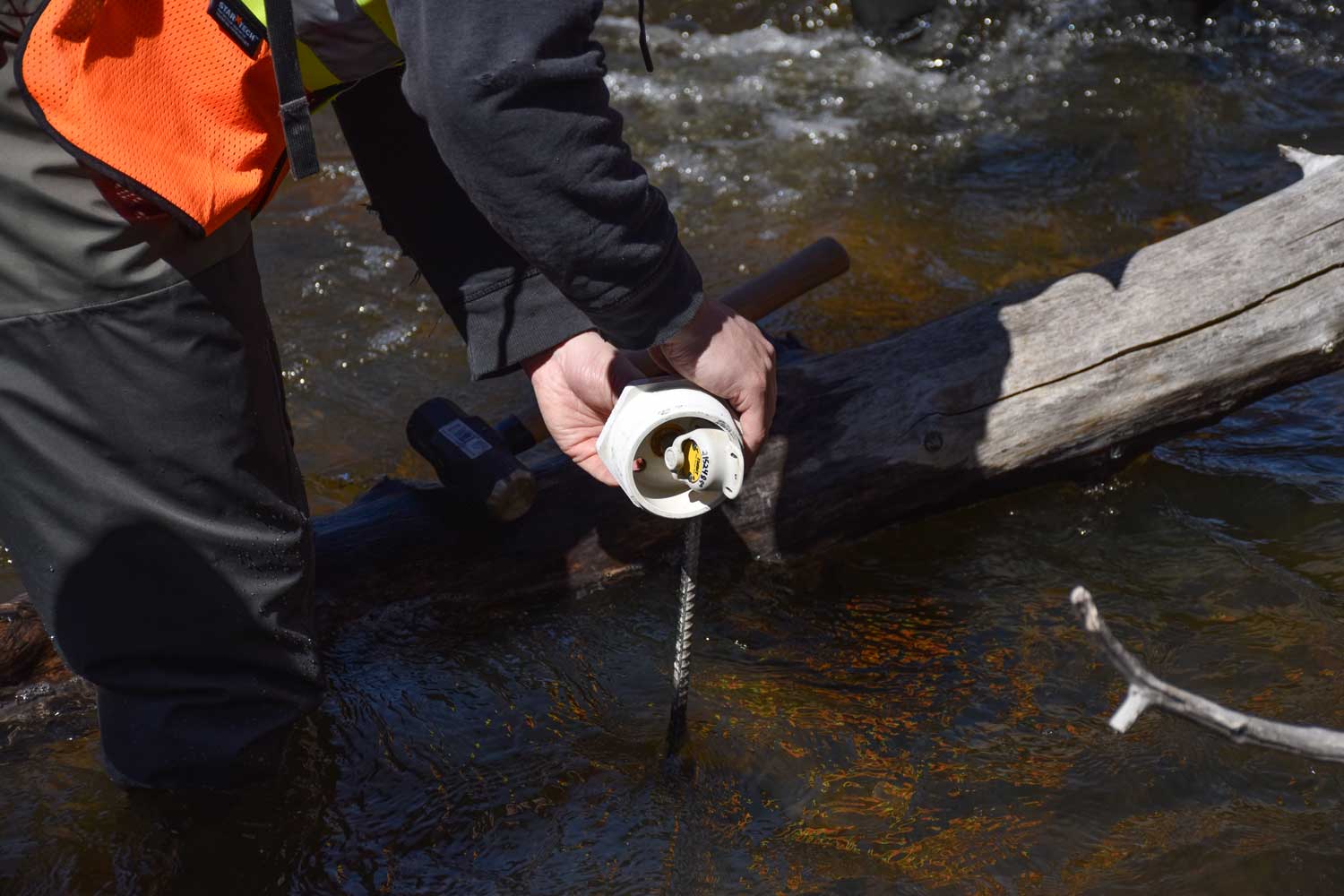 a temperature logger on rebar being installed in a creek