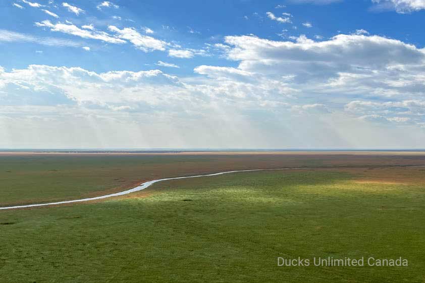 aerial photo of a channel running through a wetland. photo credit ducks unlimited canada