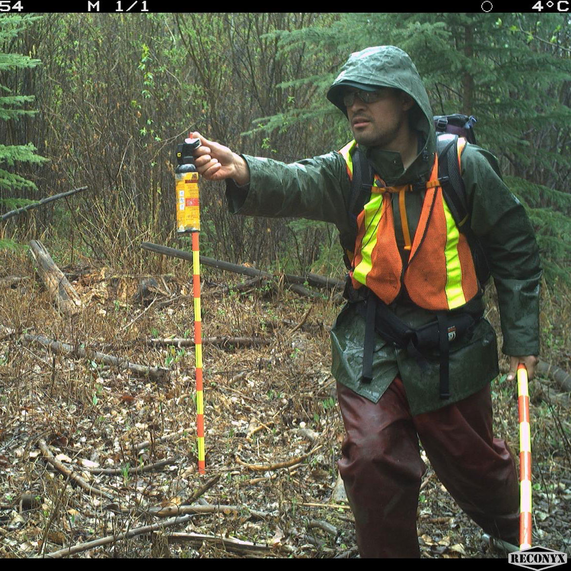 Mega detector has a confidence level of 0.89 that this image contains an ultra-alert field tech.
