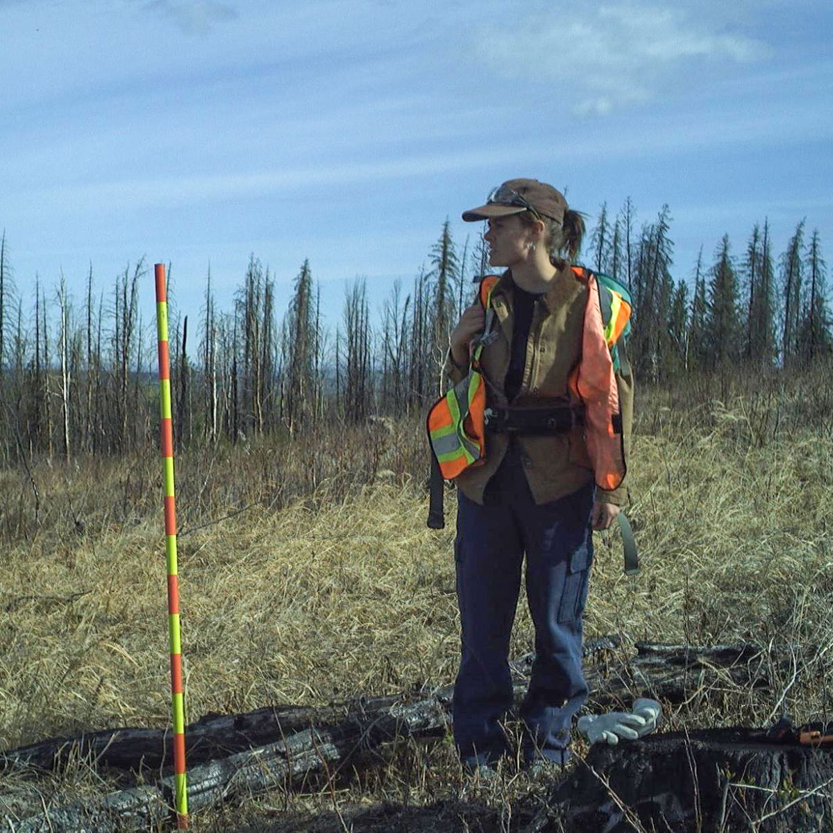 A Serry survey of a field site