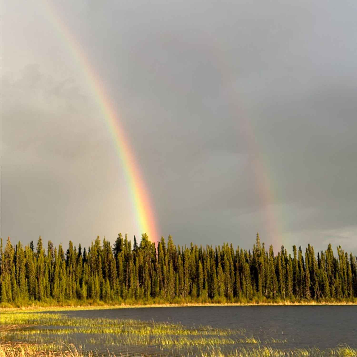 a double rainbow over a lake in a conifer forest