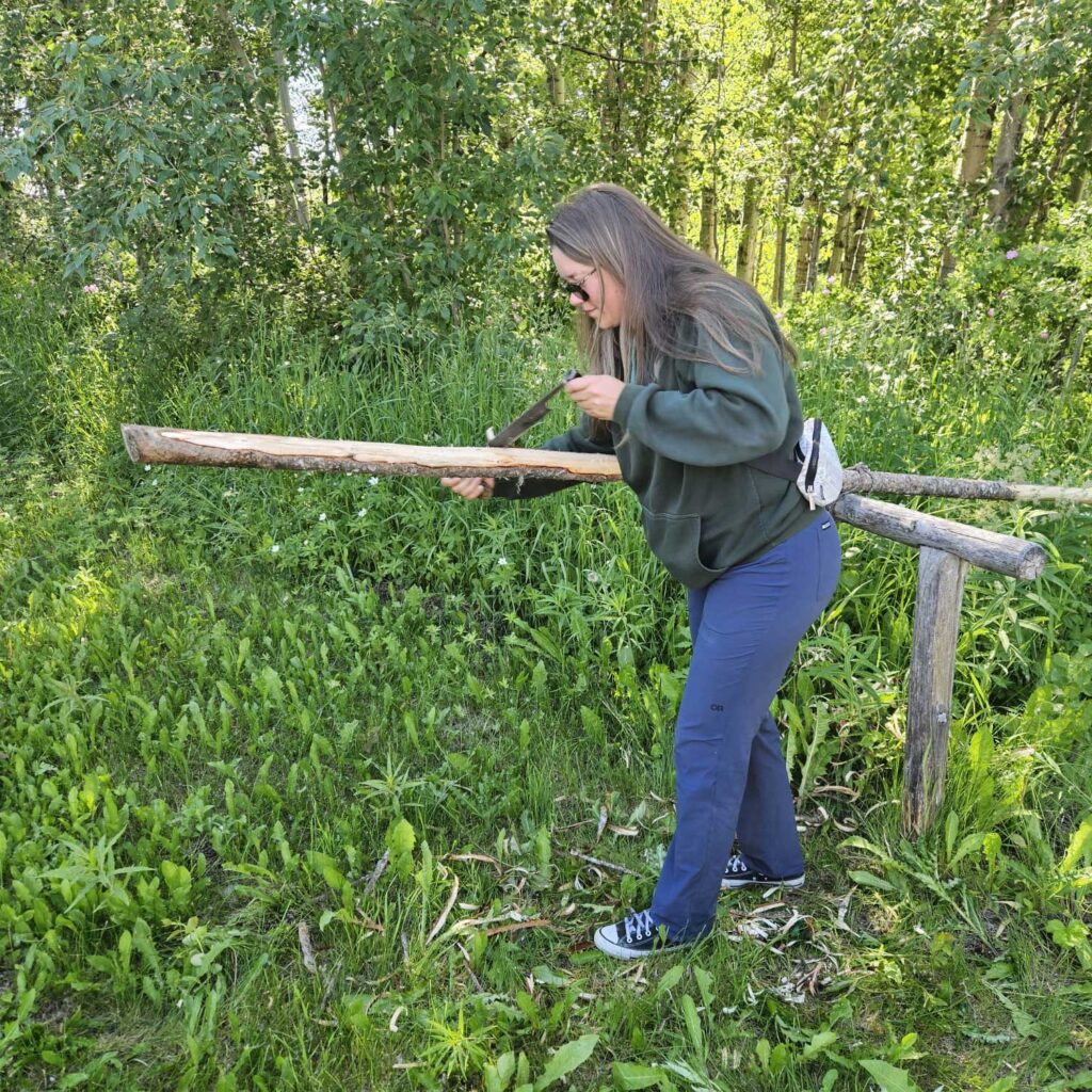 a field tech uses a draw knife to debark tree trunks to make tipi poles photo: solène williams