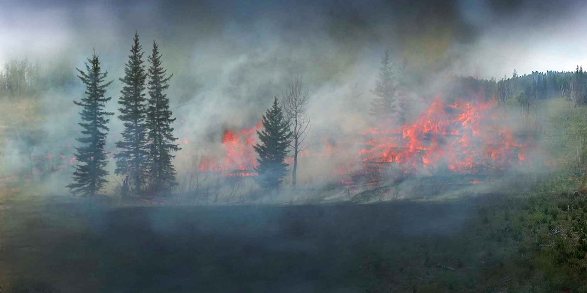 prescribed fire