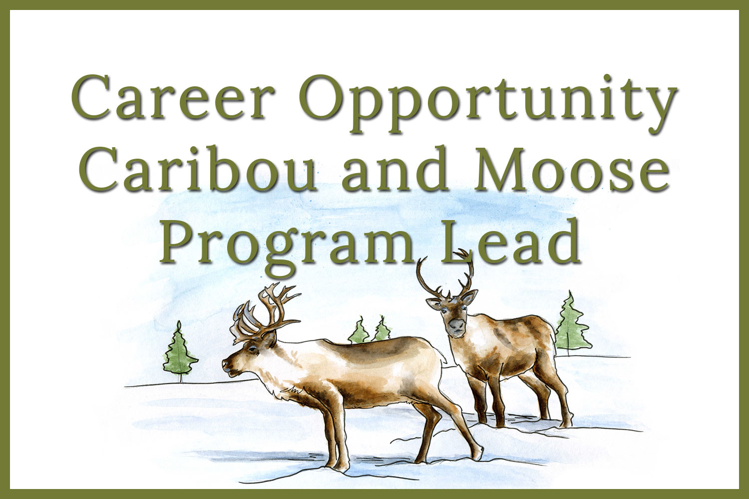 career opportunity caribou and moose program lead