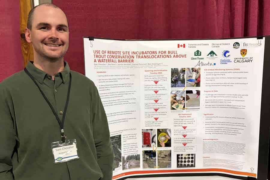 Use of remote site incubators for bull trout conservation translocations above a waterfall barrier